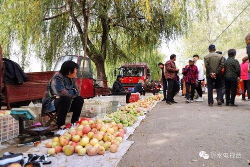沂水骑行吃瓜,畅享田园风光与夏日清凉