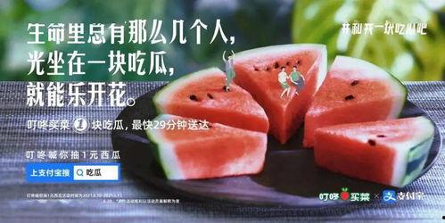 吃瓜菜文案,揭秘吃瓜菜背后的趣味与智慧