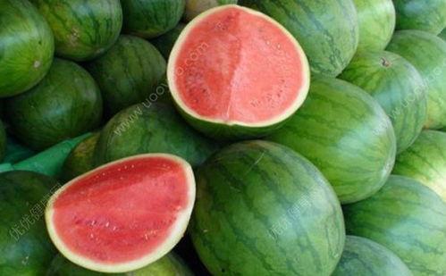 发烧好了可以吃瓜吗,适量吃瓜助恢复