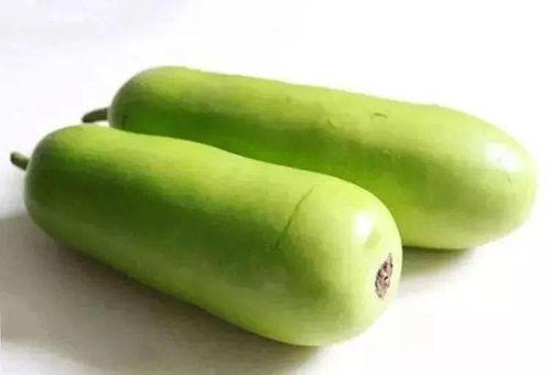 海宁服装吃瓜,吃瓜群众眼中的时尚盛宴