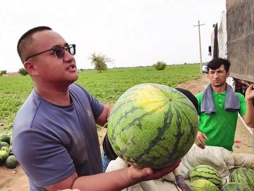 预感吃瓜,揭秘娱乐圈的神秘幕后