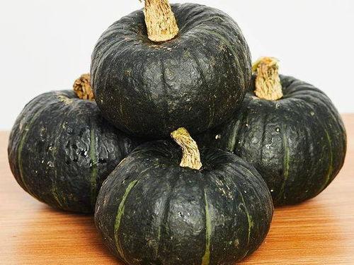 婴儿吃葫芦瓜好吗,婴儿辅食新选择,营养美味两不误