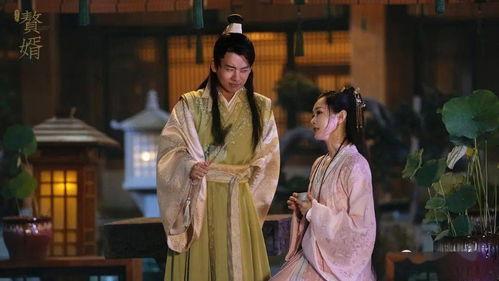 吃瓜赘婿全本下载,一场豪门盛宴背后的爱恨情仇