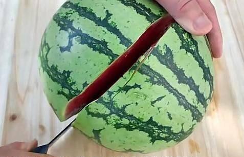 吃瓜的素质不挑,不挑食的吃瓜指南