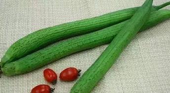 吃土瓜会咳嗽吗,吃土瓜引发咳嗽的真相揭秘